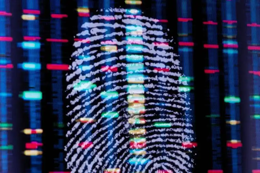 emv-chip